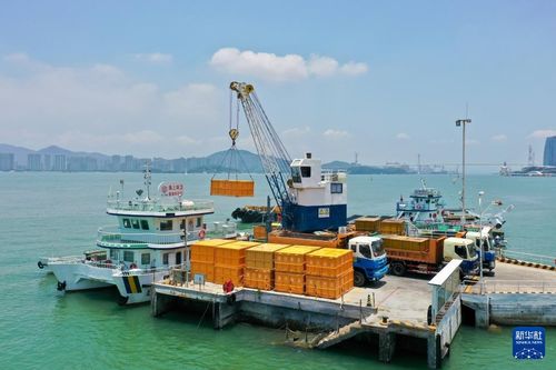 海上美容師 廈門(mén)海上環(huán)衛(wèi)站守護(hù)碧海銀灘